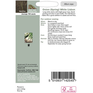 Spring Onion White Lisbon by Johnsons