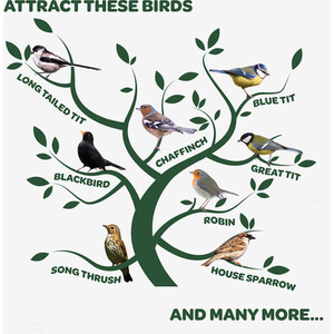 Peckish Natural Balance Wild Bird Seed Mix by Peckish