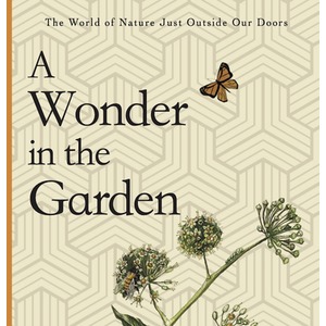 A Wonder in the Garden - Cream