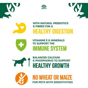 James Wellbeloved Hypoallergenic Adult Dog Food - Lamb and Rice / 2kg by James Wellbeloved