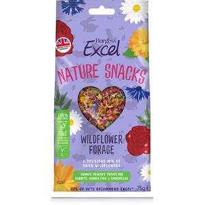 Burgess Excel Wildflower Forage by Burgess