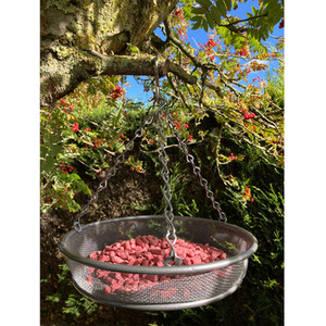 Hanging Feeder Tray