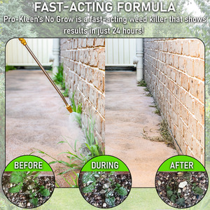 Pump Sprayer With No Grow Weed and Moss Killer - Green / 10l by Pro-Kleen