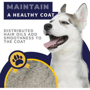 Dog Grooming Brush - Blue & Yellow / Dual Brush by DogCratesPlus