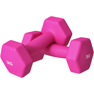SPORTNOW Hexagonal Dumbbells Weights Set - Pink-2 x 3kg by SPORTNOW