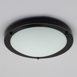 Mari Large Bathroom Ceiling Flush by Litecraft