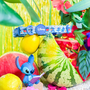 Stitch Fruit Collar by Disney