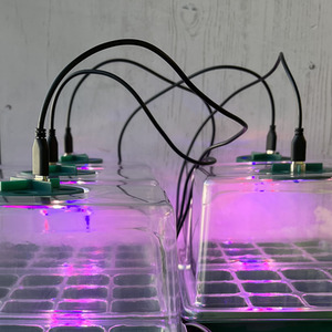 Plant Propagator Seed Tray Set with Full Spectrum USB Grow Lights - Green by Selections