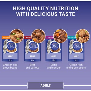 Pack of 40 Purina One Mini Fillets in Gravy by Purina One