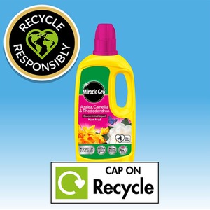 Miracle Gro Azalea Concentrated Liquid Plant Food Camellia Rhododendron 800ml - Neutral by Miracle-Gro