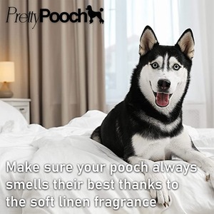 Pretty Pooch Dry Shampoo Mousse - Contains Aloe and Avocado - Pink by Pretty Pooch