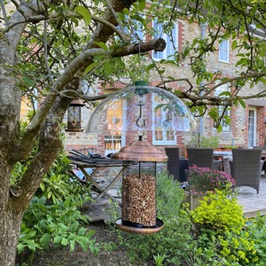 Squirrel Proof Baffle Protection for Wild Bird Feeders - Clear / 2 by Selections