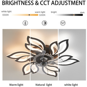 Petal-Shaped Ceiling Fan Light - Black by Livingandhome