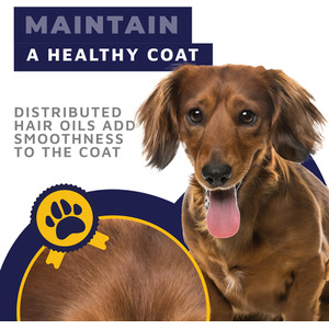 Dog Grooming Brush - Blue & Yellow / Undercoat Rake by DogCratesPlus