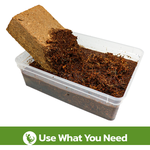 Swell Reptiles Coco Soil Bricks - Brown by Swell Reptiles