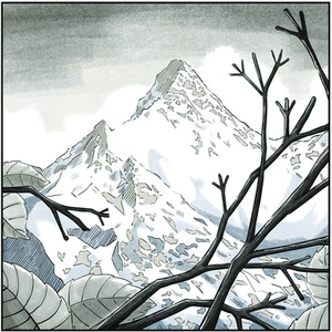 Spectrum Noir Classique 6 Pack - Muted Greys by Spectrum Noir