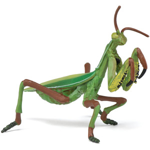 PAPO Wild Animal Kingdom Praying Mantis Toy Figure - Green by PAPO
