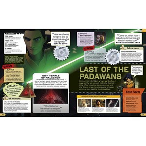 Star Wars Absolutely Everything You Need To Know Book by Star Wars