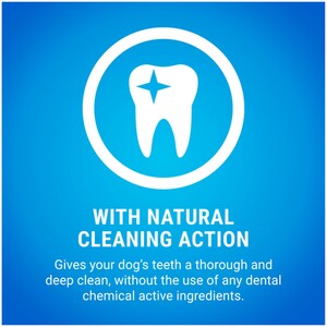 Dentalife Big Pack Sticks - Large by Dentalife