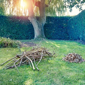 LawnMaster 2800W Quiet Garden Shredder with Collection Box - Orange by LawnMaster