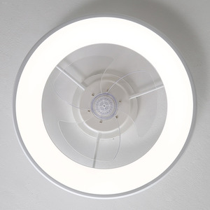 Ceiling Fan Light with Round Acrylic LED Ring - White by Livingandhome
