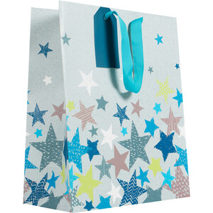 Pack of 3 Multi Sized Gift Bags