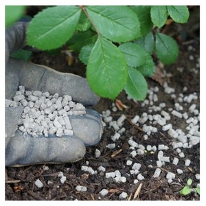 Q4 Premium Plant Food 4.5kg - Neutral by Vitax