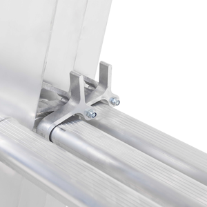 Professional Extension Ladder by TB Davies