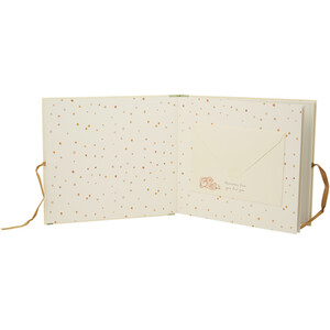 Baby's First Year Book