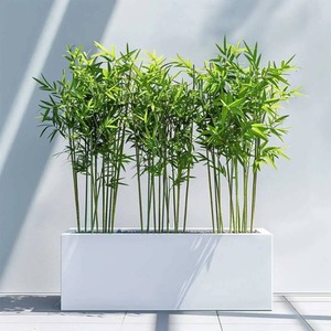 Zinc Galvanised Matte White Trough Planter - White / 70cm by Woven Wood