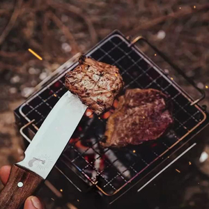 Portable Wood Burning Camping Stove - Silver