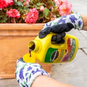 Miracle Gro All Purpose Concentrated Liquid Plant Food High Nitrogen Feed 800ml - Dark Brown by Miracle-Gro