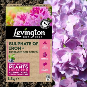 Sulphate Of Iron Ericaceous Plant Feed 1.5kg - Natural by Levington