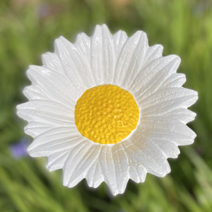 Cast Iron Daisy Bird Feeder - White by Selections