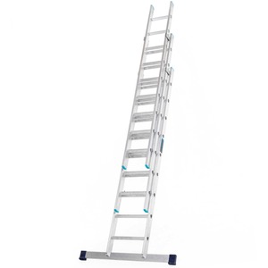 Professional Extension Ladder by TB Davies