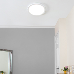 Darly LED 24 Watt Flush Ceiling or Wall Light - White by Litecraft