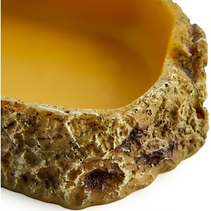 Swell Reptiles Food Dish by Swell Reptiles