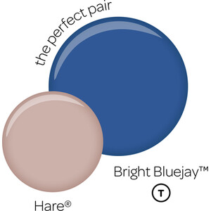 Crown Matt Emulsion by Crown Paints