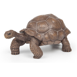 PAPO Wild Animal Kingdom Galapagos Tortoise Toy Figure - Green by PAPO