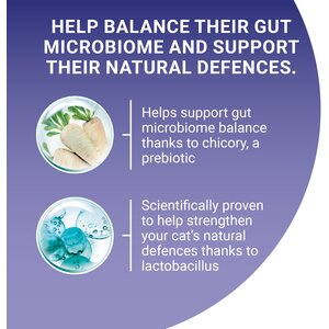 Purina One Dry Kitten Food - 750g by Purina One