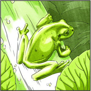 Spectrum Noir Classique 6 Pack - Calming Greens by Spectrum Noir