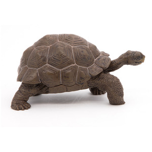 PAPO Wild Animal Kingdom Galapagos Tortoise Toy Figure - Green by PAPO