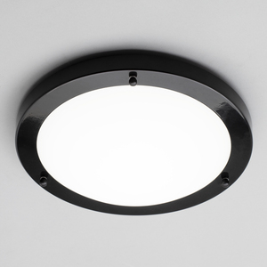 Mari Bathroom 18 Watt Flush Ceiling Light by Litecraft