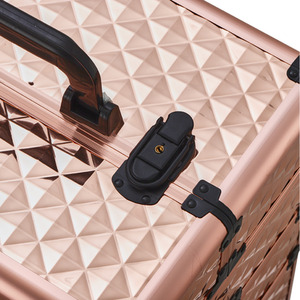 Professional Beauty Case on Wheels by Livingandhome