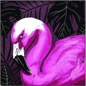 Spectrum Noir Classique 6 Pack - Exotic Pinks by Spectrum Noir