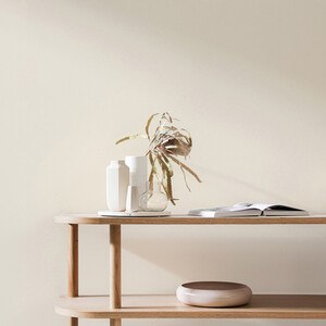 Craig and Rose Chalky Matt Emulsion by Craig & Rose