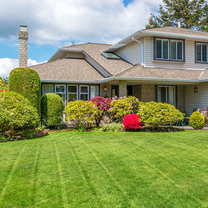 Pump Sprayer with Liquid Iron Sulphate 5L Grass Greener and Turf Hardener - Green / 10l by Pro-Kleen