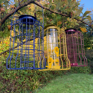 Hanging Squirrel Proof Nut, Seed and Fat Ball Bird Feeders (Set of 3) - Mixed by Selections