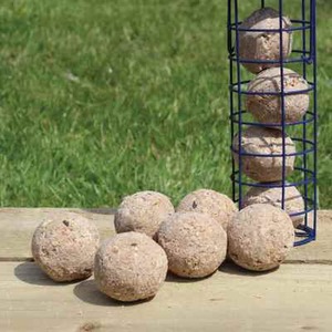 50x Tub Of Suet Fat Balls - White by Garden Mile