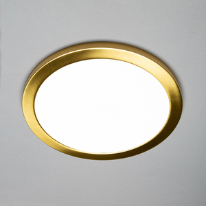 Darly LED 24 Watt Flush Ceiling or Wall Light - Satin Brass by Litecraft
